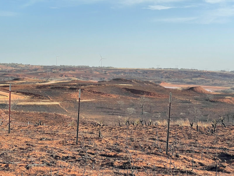 scorched land from wildfire