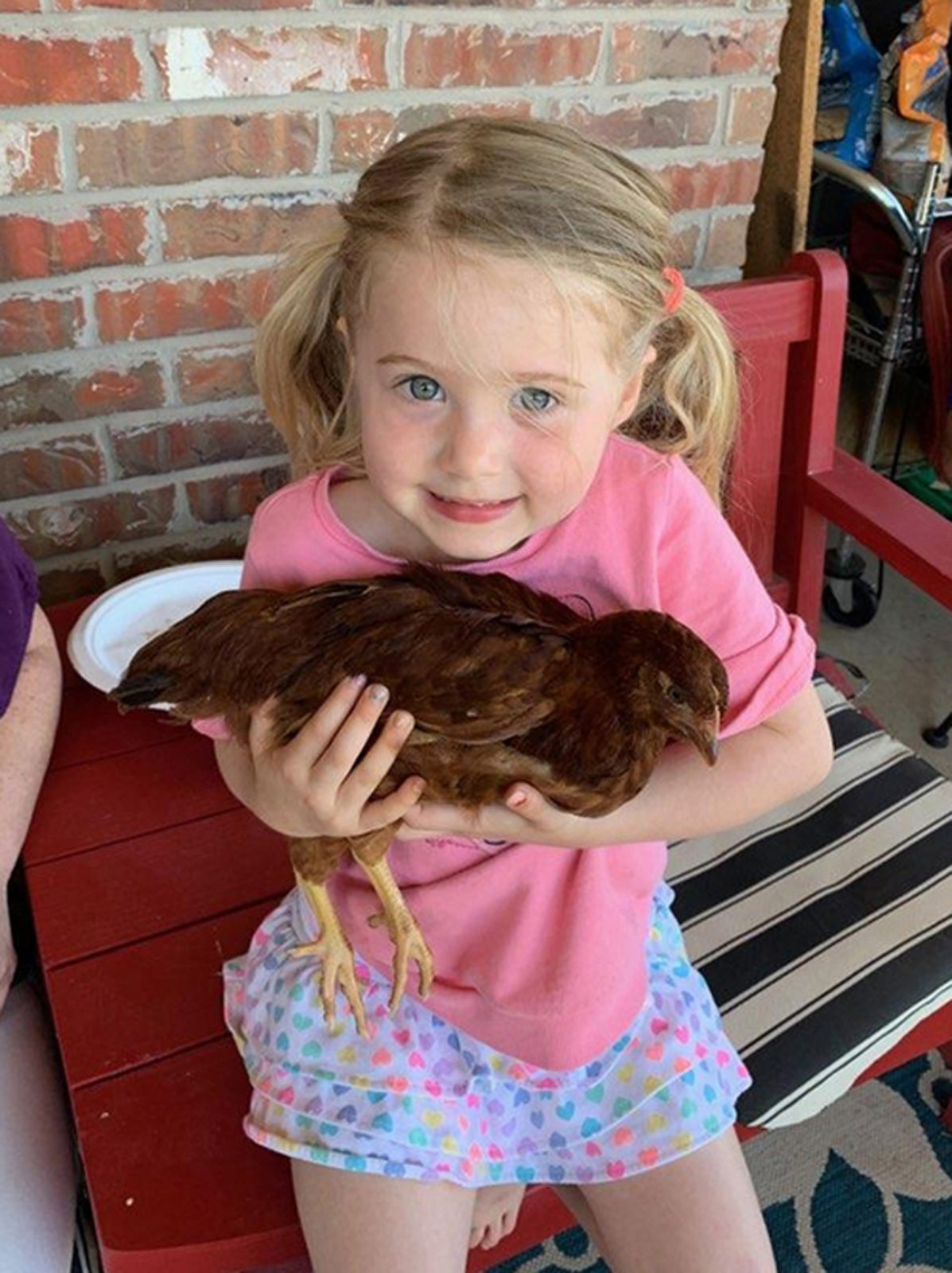 little girl holding chicken outside