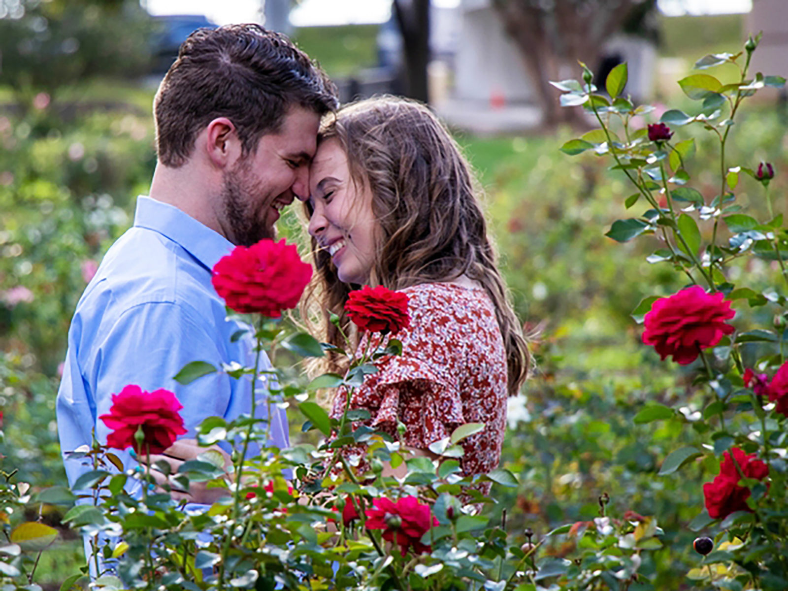 young couple in field of roses