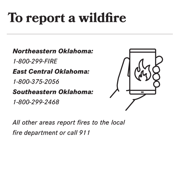 report-wildfire-info